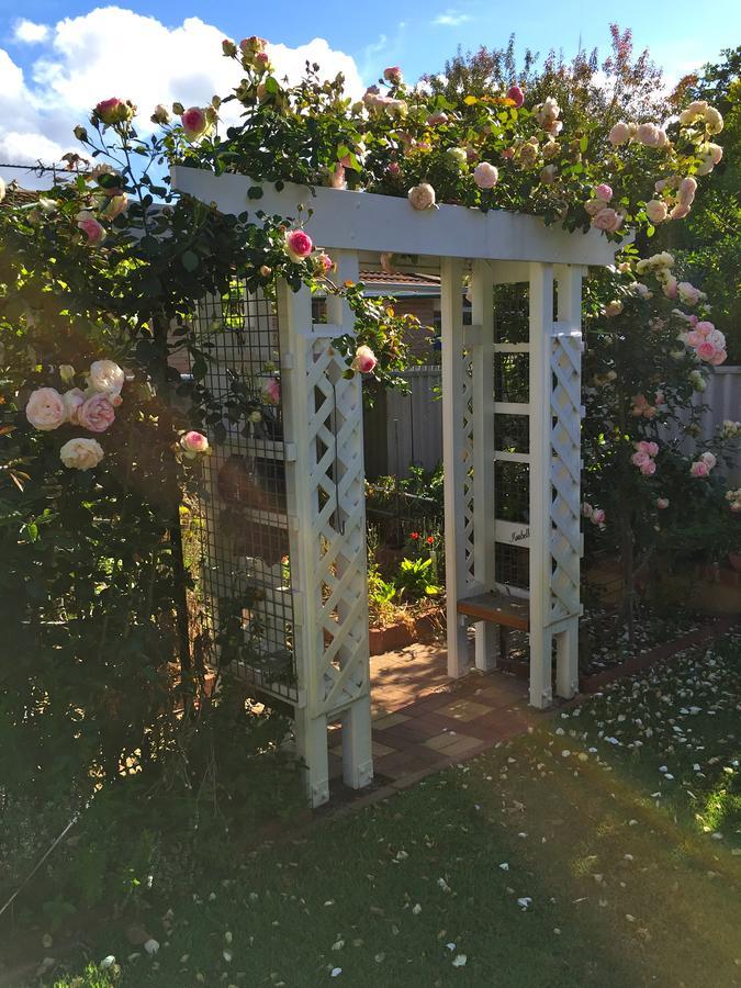 Exley House B&B Perth Luaran gambar